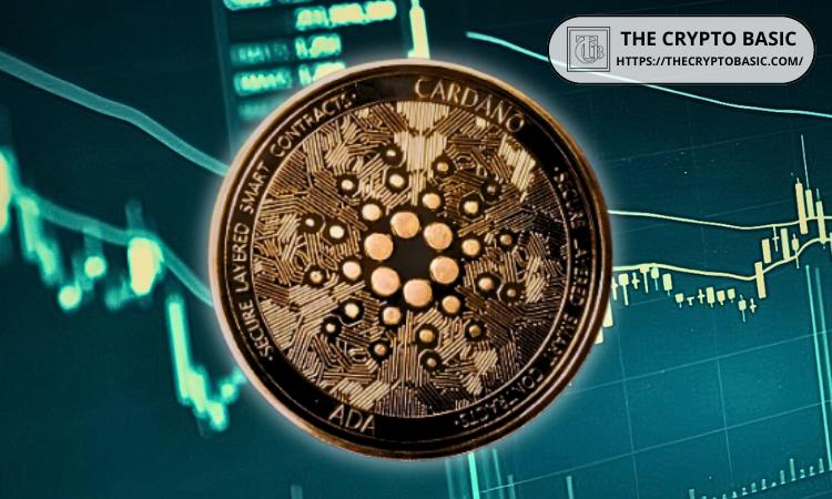 在大规模爆发后,卡尔达诺1美元的反弹将出现吗?