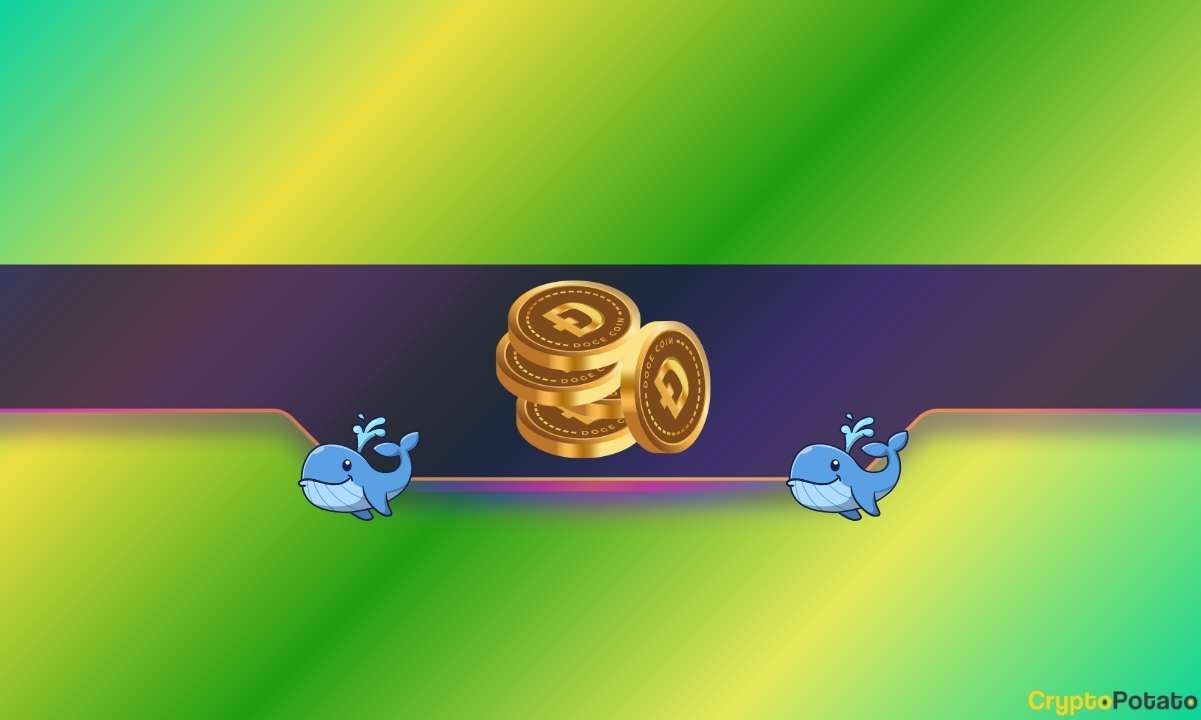 狗狗价格达到月度新高0.42美元，吸引了众多狗狗饲主前来购买