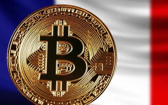 OE交易所:评价与可靠性分析